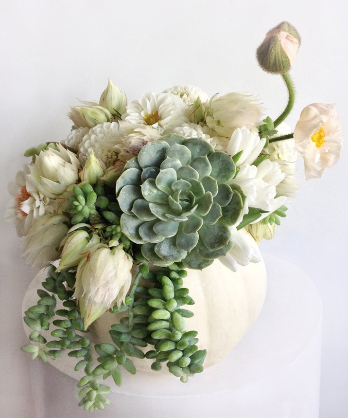 Our Great White Pumpkin is all dressed up!