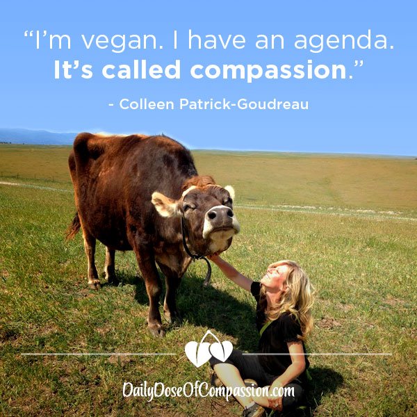 JoyfulVegan's tweet photo. “I’m #vegan. I have an agenda. It’s called compassion.” #dailydoseofcompassion https://t.co/1jCl2Q22u8 https://t.co/VWYvk9nH8P