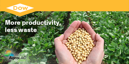 DowNewsroom's tweet photo. Our solutions enable productivity &amp; up to 40% #foodwaste reduction, for a more #sust planet @AgroLAC2025 #Dow2025 https://t.co/e0IkxkvqtG