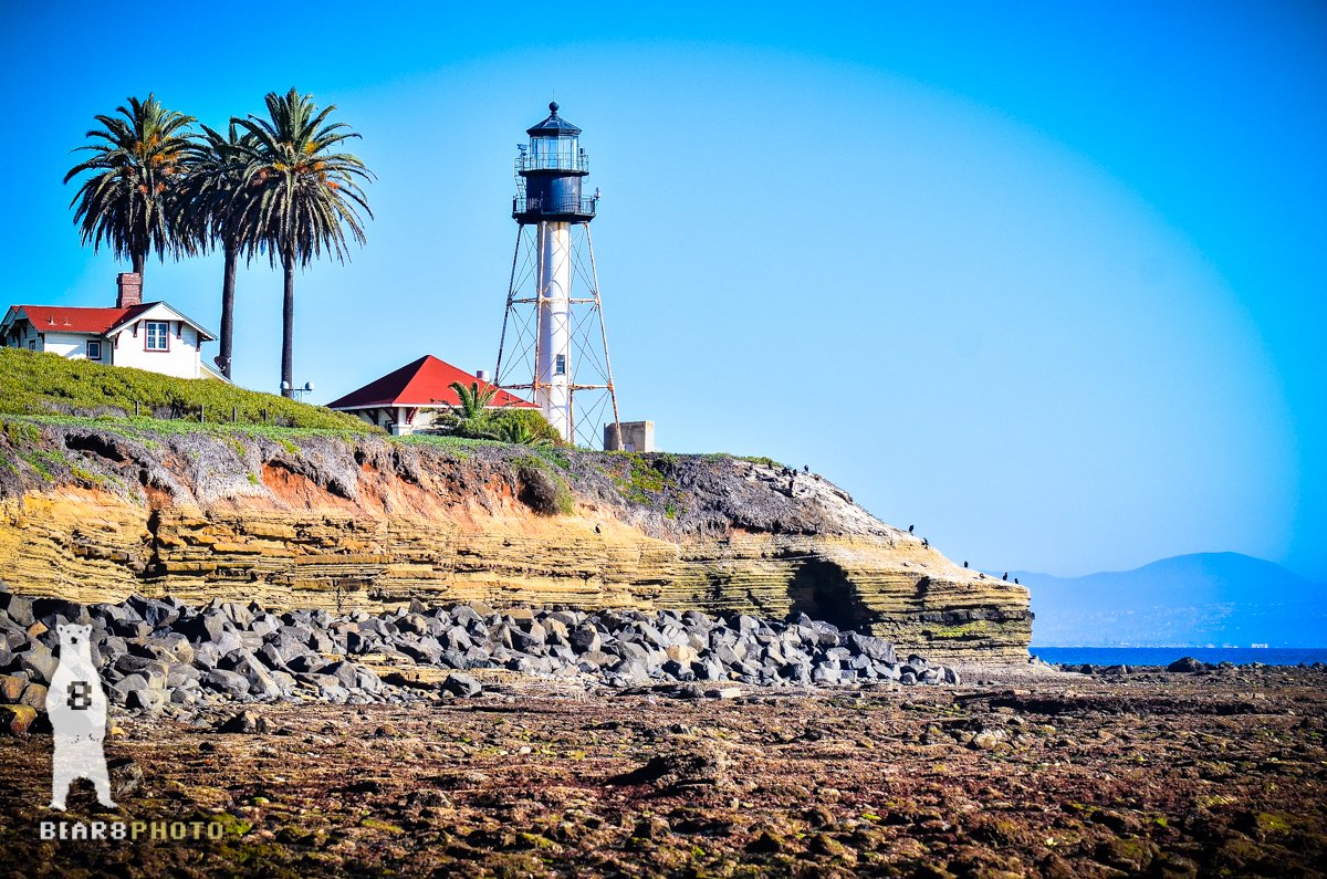 Bear8Photo's tweet photo. click the link to see them all..
https://t.co/2OLSuXUkXB
#oceancliffs #travel #wanderlust #sandiego #lighthouse https://t.co/Se2E0RyEJS