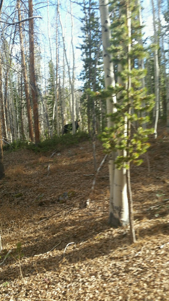 UtahWildfire's tweet photo. #uwcnf #wolverinefire declared out on 10/26 at 1/2 acre, located E of BearRiver GS, manged improve wildlife habitat https://t.co/qT1a3XDdV6