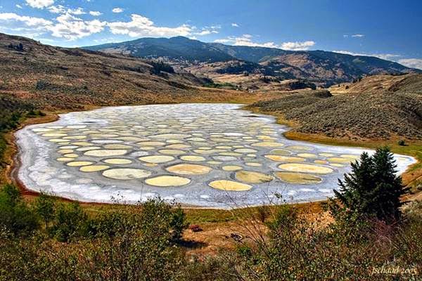 WorldPlaces_'s tweet photo. The mottled Kliluk Lake (British Columbia) #TheMottledKlilukLake #BritishColumbia #worldplaces https://t.co/MMKmOXf0iX