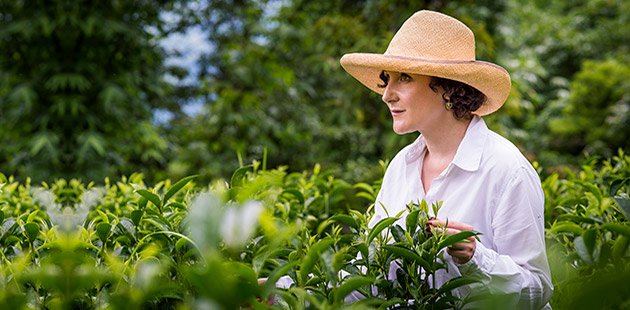 Spinneys_UAE's tweet photo. We chat to @raretealady about the art of tea-making and how to brew the perfect cuppa: https://t.co/xHKAxAVKh7 #tea https://t.co/eyhoZb4Ztf