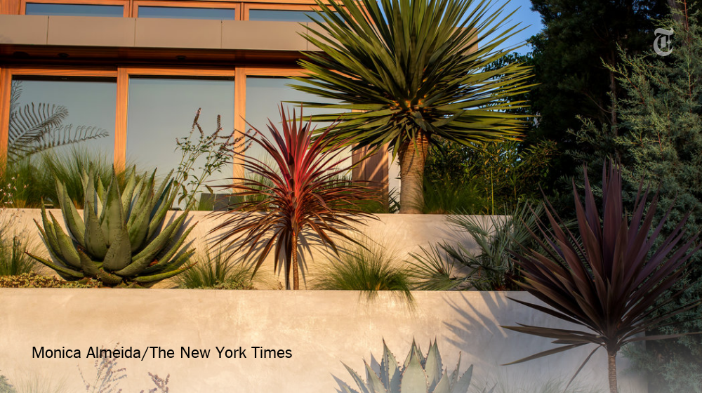 NYT Photo tweet media