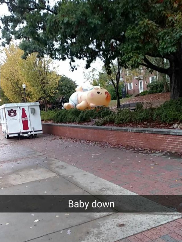 AUBaby16's tweet photo. Just because y'all wake up for 8 ams doesn't mean that I have to 😴 #giantbabyproblems https://t.co/3PTuUkS0F1