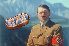 YABOYLYSOSOME's tweet photo. What other cell organelle teamed up with Hitler during WW2? #stopmitochondria2015 https://t.co/OIS4BVwORc