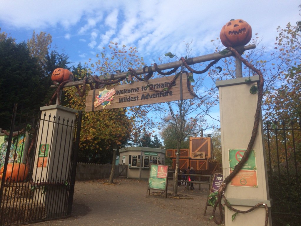 moist_tv's tweet photo. Crispoween https://t.co/G0zqGVlEod