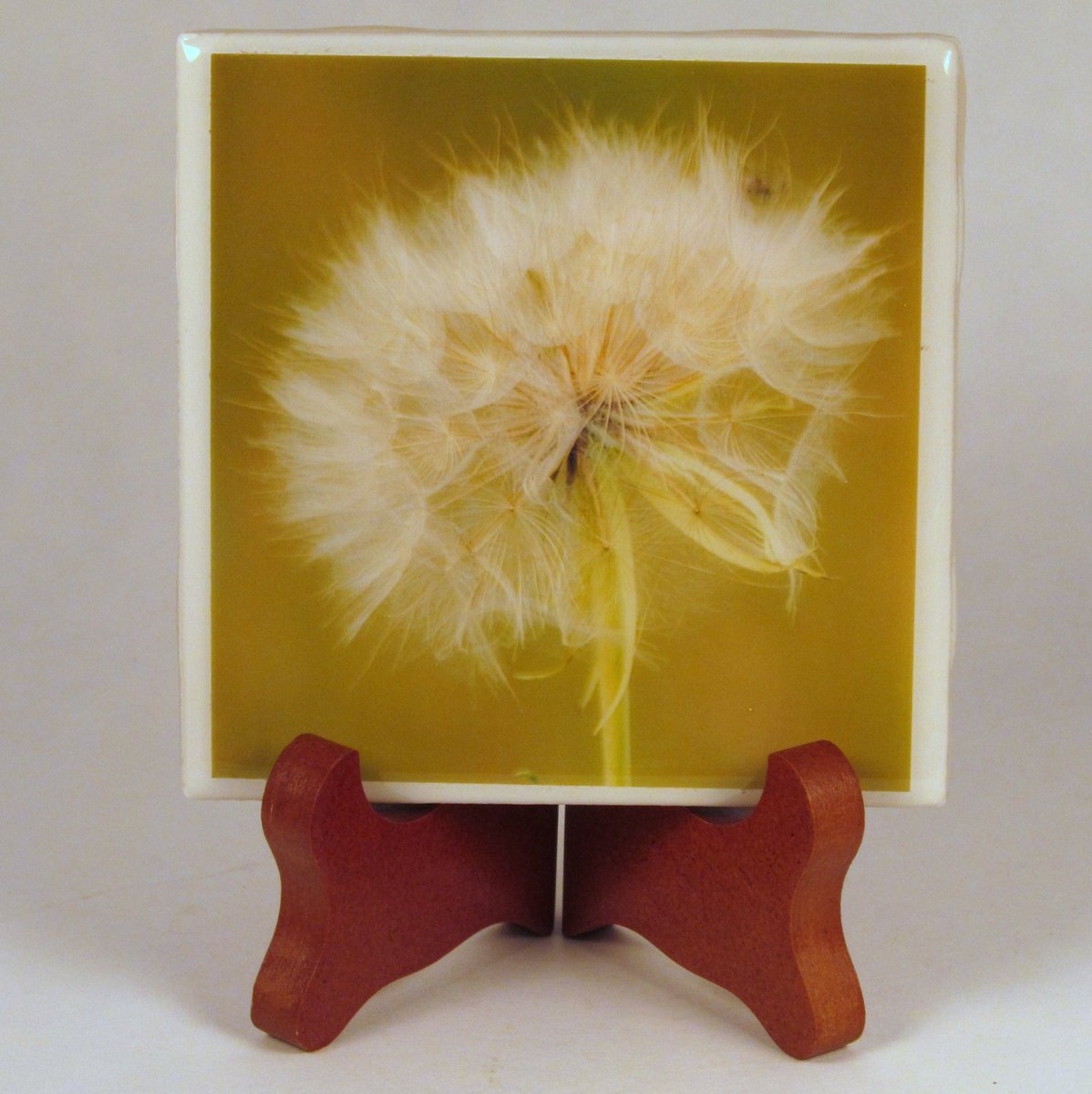 dovesclosetinc's tweet photo. Handmade Photo Coaster Wishing Flower 0039C https://t.co/XiHNbuv8lf #Etsy #HandcraftedCoaster https://t.co/htLEqYiO2Q