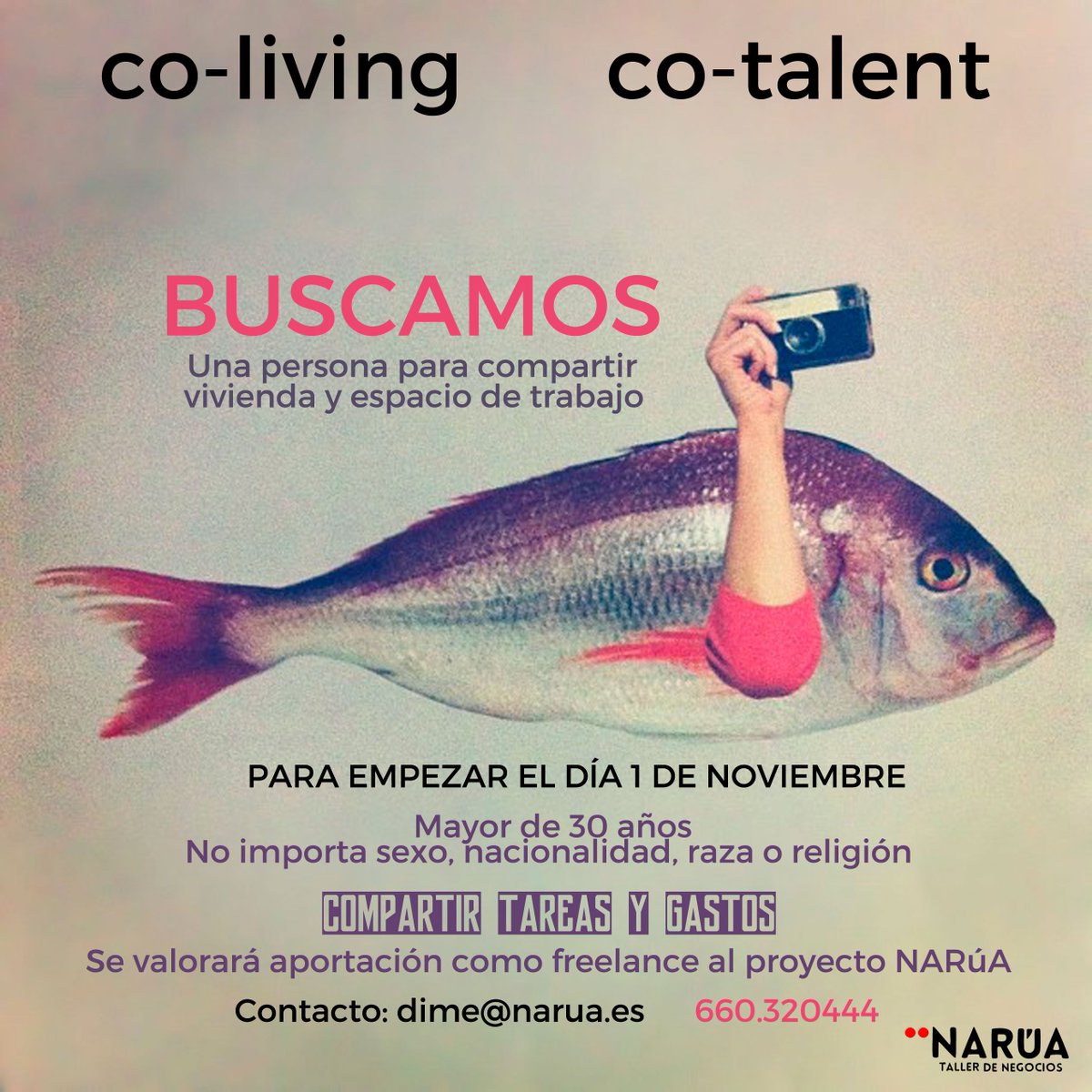 naruaTdN's tweet image. ✋📢Buscamos persona para #leonesp con el objetivo de compartir vivienda y espacio de trabajo #coliving #cotalent