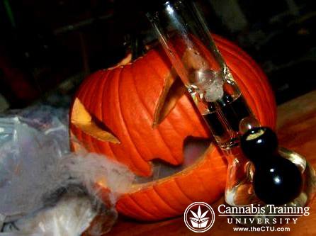 CannabisTrainU tweet picture