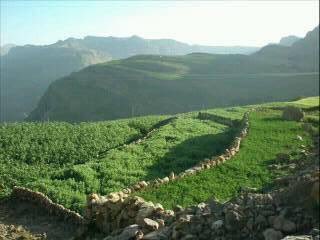 اليمن بحر _خسران من يعــــاديك_ خسران يـــامعاند بحر_غـــالية ما يعدل ترابـــك ثمن_ خـــاطرى يعشق حروفـــك يــايمن،