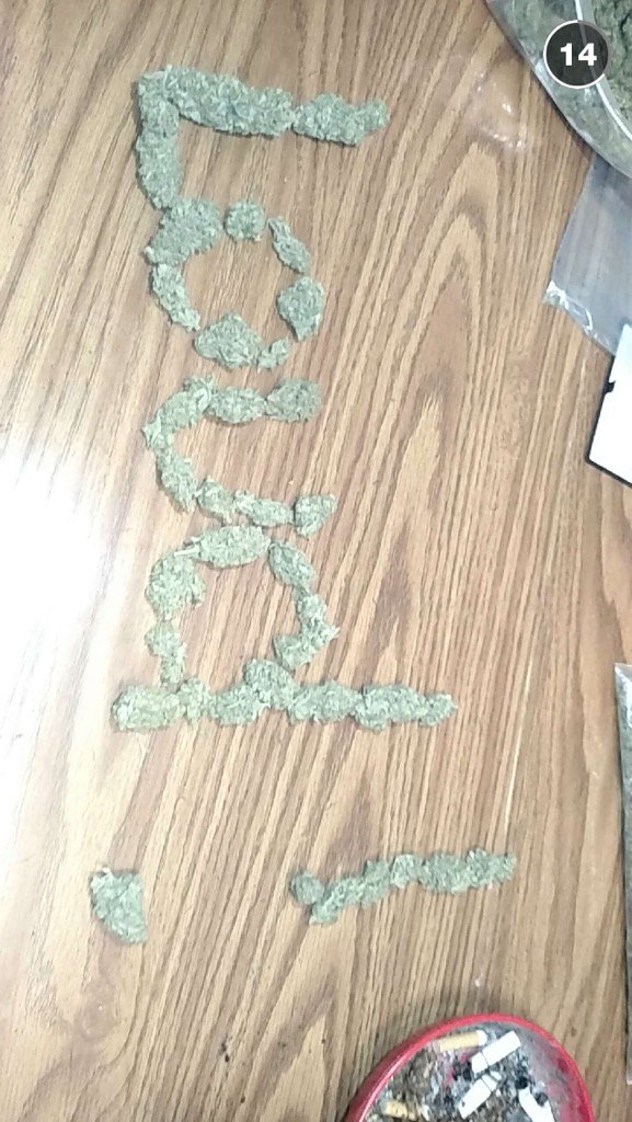 ComfyTree's tweet photo. We found the #loud ❤️👍🌿🔥 #ComfyTree #OhioCannabis #PassTheTree https://t.co/yxVlhM4z9j