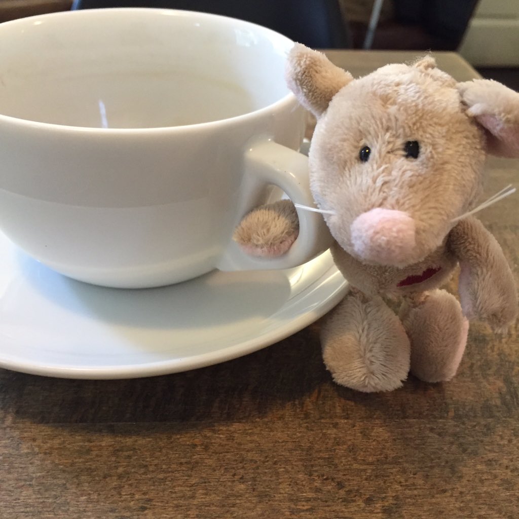 LittleFluftas's tweet photo. Having a chat with mouse over a coffee @pinkartbath https://t.co/Oh3uKzmb4B