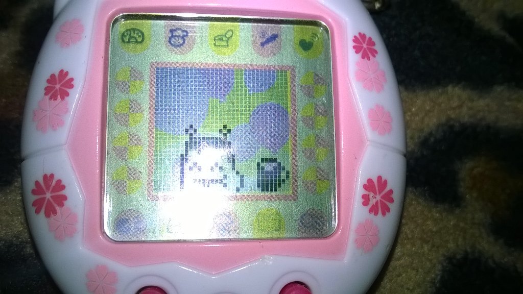 [Obrazek: CSVNwBjUwAEiylJ.jpg]