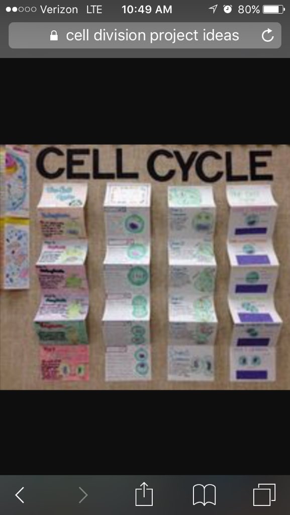 msscience8's tweet image. Cell flip book
