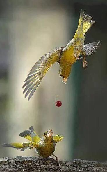22Shatry's tweet photo. "لا تحاول ان تكون إنسان لا يخطئ فهذا مستحيل
بل كن إنسان يتعلم من أخطأه فهذا عظيم . https://t.co/V9K4KMwpHV