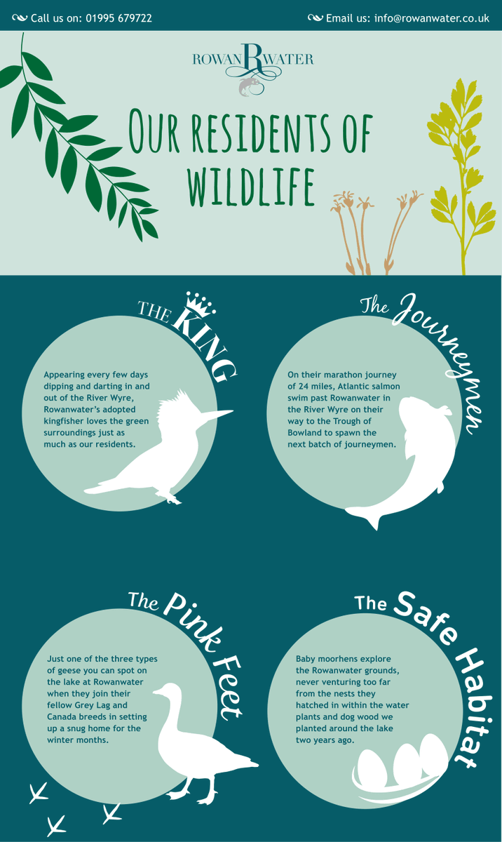 Rowanwater's tweet photo. Have you heard about our resident wildlife creatures? https://t.co/2IErGkBqd7
