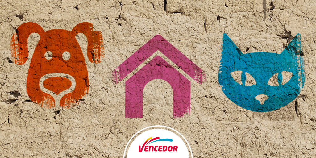 VencedorPeru's tweet photo. Identifica a qué familia le pertenecen los elementos de la imagen y participa por los premios de #PinturasVencedor. https://t.co/9PhPfeB8LE