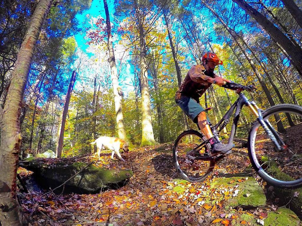 BikesbridgeBeer's tweet photo. #loamlife #raddog great way to kick off the week #justfortheloveof #mtb #mtbct #gropo 📸 #r… https://t.co/EBl7DeYxsW https://t.co/J7OG3fCm1n