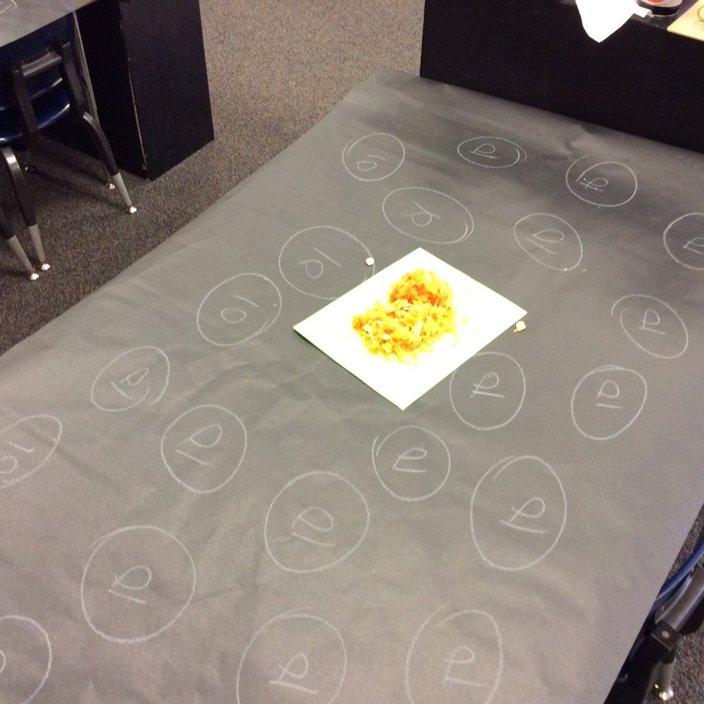bauerlucas2's tweet photo. Fall themed graphing and making tens activities in kinder. @DWEdublin @DublinSchools @brianblum_ #dweclassroom https://t.co/Fzz25hps7g