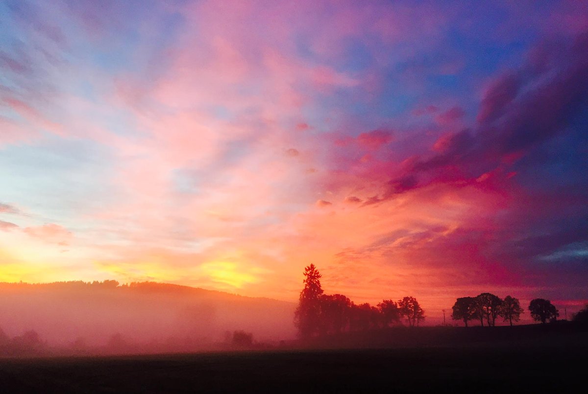Cwellskramer's tweet photo. #fallinthewillamettevalley,#westcoastsunrise,#carolynwellskramerphotography https://t.co/6eQBImtemX