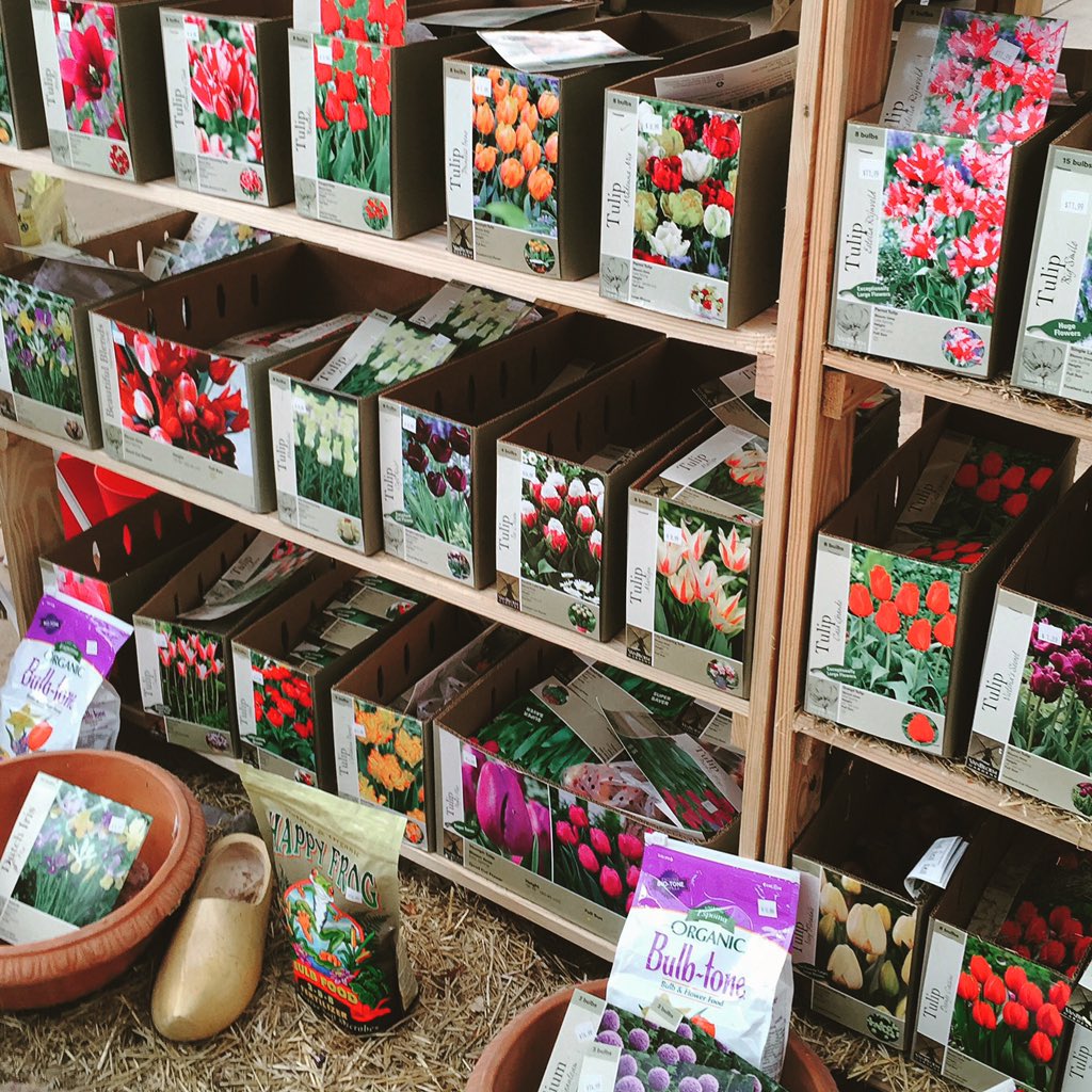 Gulleygh's tweet photo. There is still time to plant! All #springbulbs are 50% off, while supplies last. https://t.co/Bt2sxn10UD