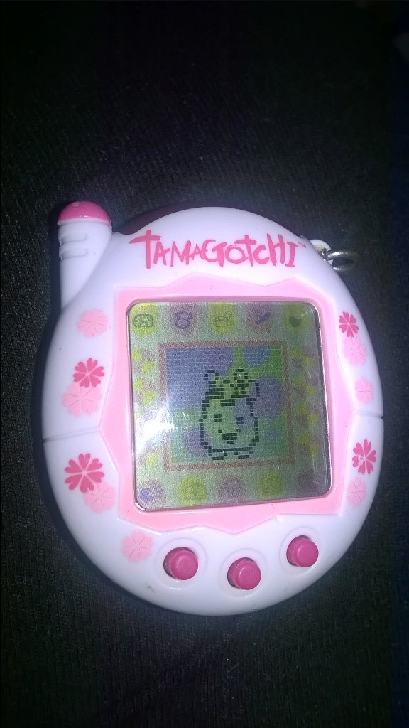 [Obrazek: CSVSiHuXAAQk8sE.jpg]