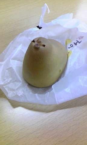 シロップ 最近セレコライン上でたびたびみるすごい顔を潰れたひよこまんじゅう顔って言ったらその呼称が一部の人で定着しちゃったらしく申し訳ない感がすごい T Co Yazu0noxz9