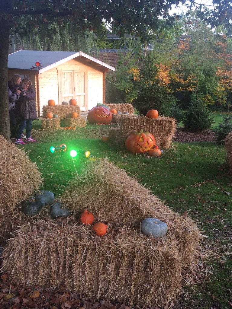 moist_tv's tweet photo. Trick or Treat wood gets a Crispy rating of 2/10 - it's really rather Moist actually! https://t.co/kJAQtrv6lC