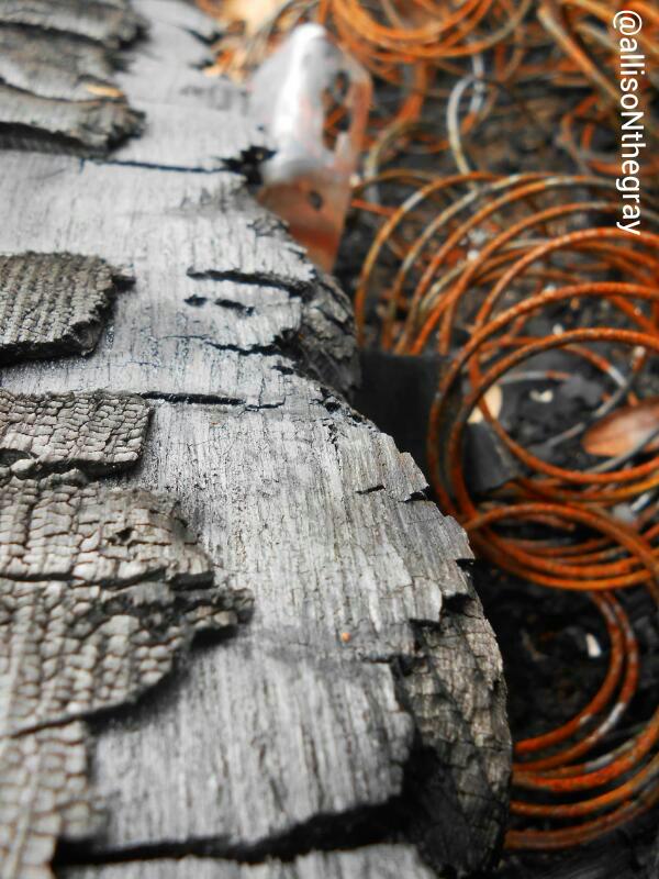allisoNthegray's tweet photo. Embers and Coils
@assclownstudios I'm sure you can work with this one =] #Inspiration #photography #fireaftermath https://t.co/vJfACocyua