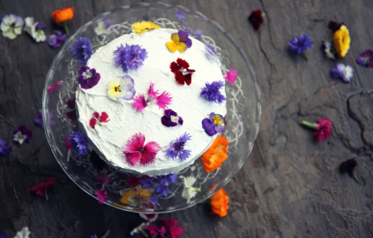 AmyTreasureBlog's tweet photo. Making my blogging debut over on My Life Living Assistance with a pretty cake, naturally! 
https://t.co/1i9PeSGWsZ https://t.co/Yq3FcSgLsb