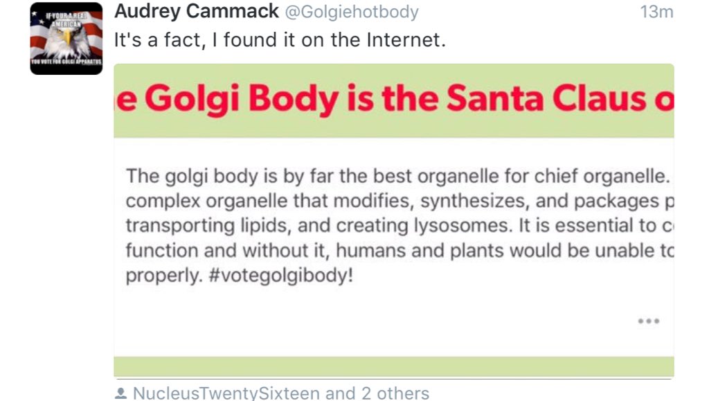 imabasicbubble's tweet photo. @Golgiehotbody https://t.co/rHyidvxUIK