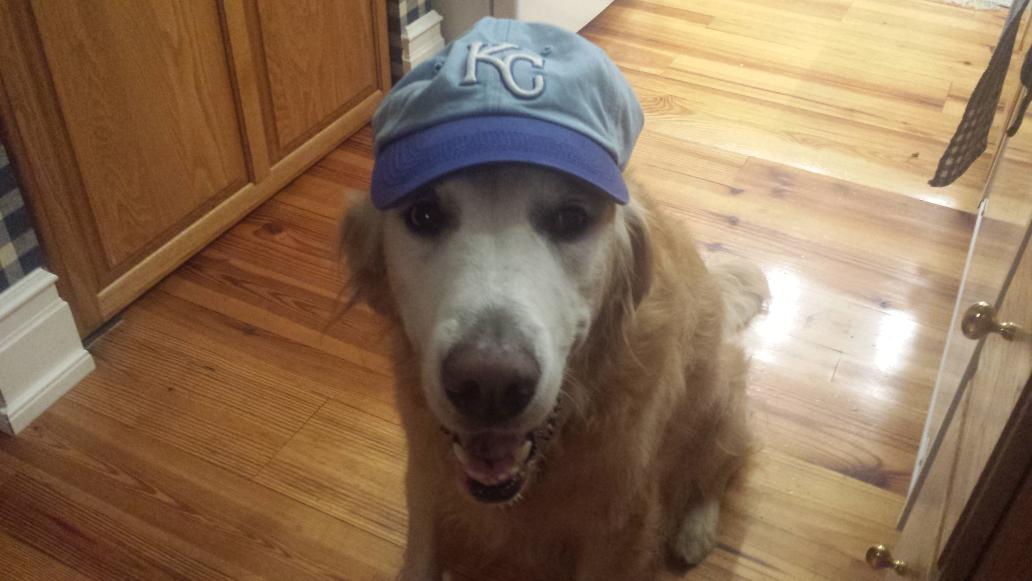 jtfales's tweet photo. #takethecrown https://t.co/DjaDNm46Ix