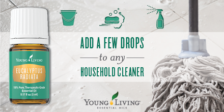 youngliving's tweet photo. Add Eucalyptus essential oil to any household cleaner for a burst of fresh, pungent aroma. https://t.co/fSSQgg9gxs https://t.co/xw1LyAfYLT