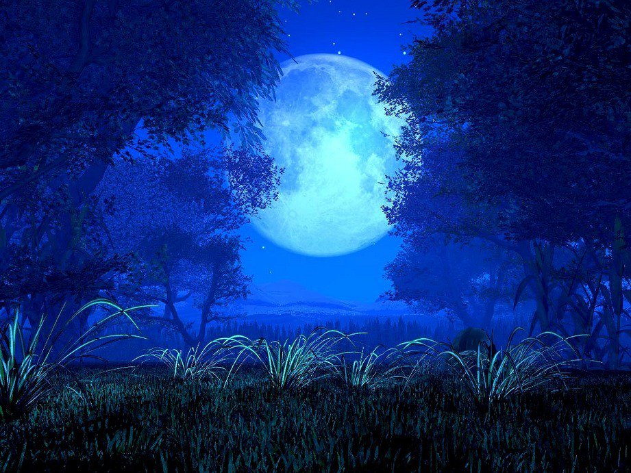 OshoStudio's tweet photo. Super #moon #Meditation tonight 20:00-21:30
https://t.co/Ee1VXTo64n
https://t.co/Ee1VXTo64n https://t.co/CZYMMSm3j1
