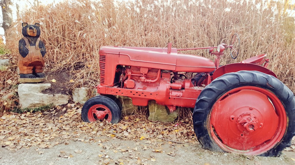 _xosharon's tweet photo. A day at the farm #ChudleighFarm https://t.co/Wf0lyCAU48
