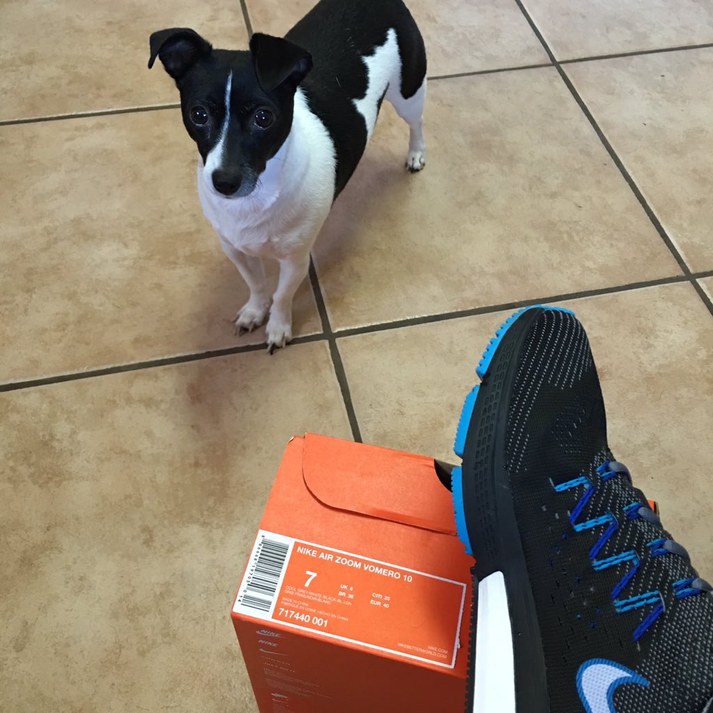 BackwardPoet's tweet photo. High arched feet
Don't touch ground?
Nike Air Zoom Vomero
Best in town!

@Nike #runningshoes #nikeairzoomvomero10 https://t.co/k6LJa3LxVL