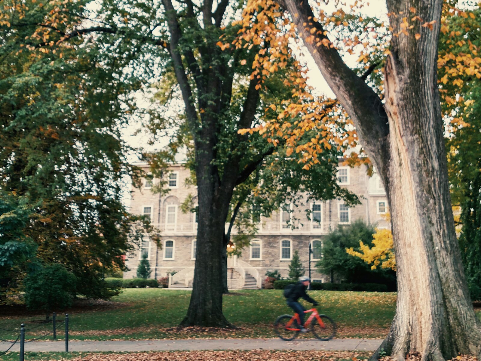 Penn State on Twitter "Taking a break on a beautiful fall day at UP