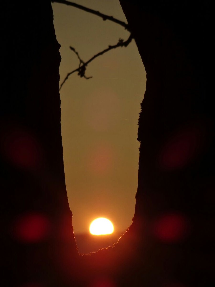 capilatus's tweet photo. wieder ein schöner #Sonnenuntergang https://t.co/cRTbH7W0Wo