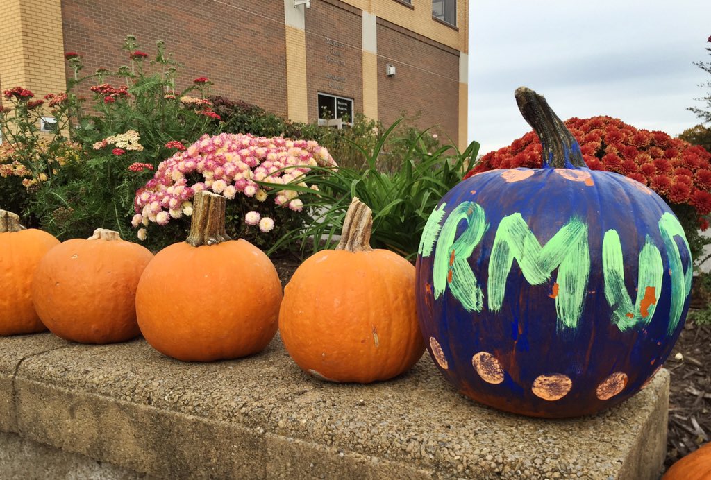 rmuprsociety's tweet photo. Sundance from G.R.I.N. is here and we're ready! Stop by, donate, and paint your pumpkin. πΆπ #RMUPR https://t.co/2xtlMRTsT4