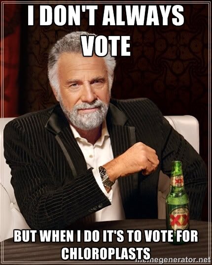 blastoftheplast's tweet photo. #voteforchloroplast  #organellewars https://t.co/N4IbeueEWi