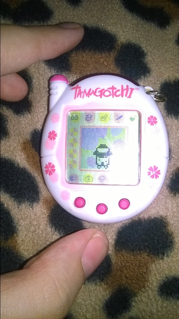 [Obrazek: CSVjPD_UsAAXsUm.jpg]