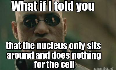 blastoftheplast's tweet photo. #OrganelleWars https://t.co/sIOS8qqzJo