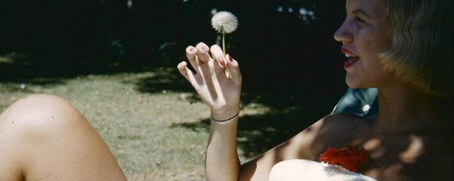 LexMeehan's tweet photo. #SylviaPlath #Poem
Her words were swords twisting romance into the taught tightrope of her own madness. https://t.co/EfWDejjHLc