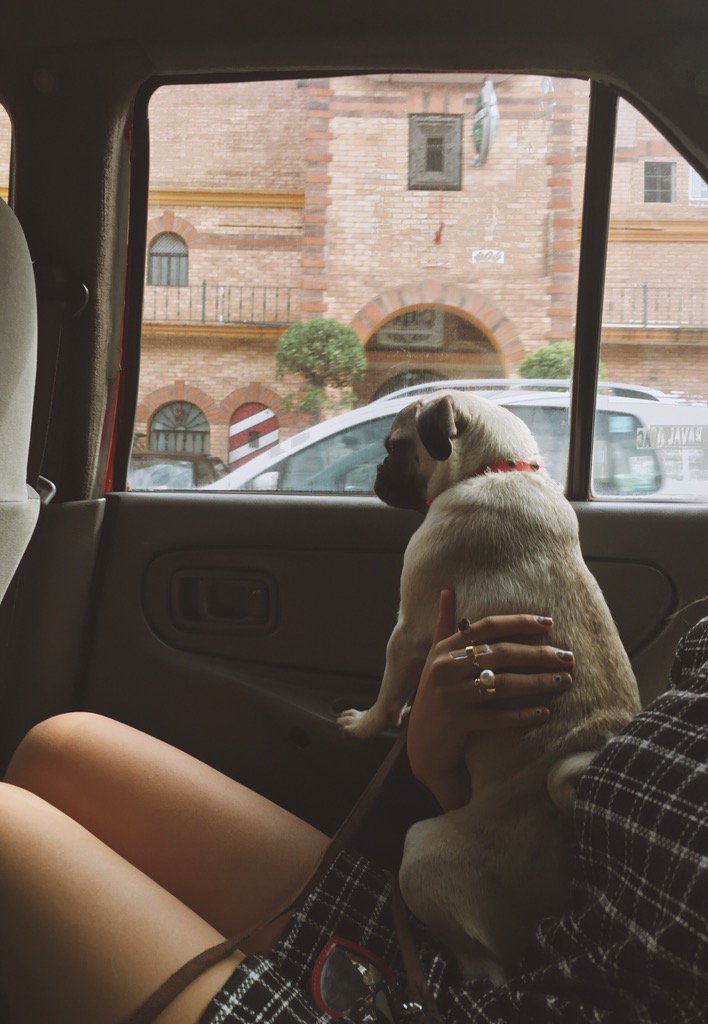 yuyacst's tweet photo. La @conchitacst en su mente soy su asiento, hace conmigo lo que quiere 😣. https://t.co/iscP6HnzYR