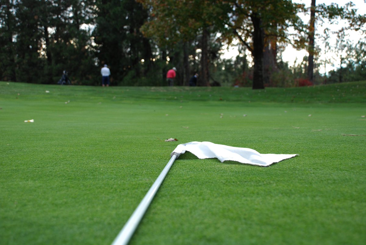 GolfQualchan's tweet photo. There's still time for a game of golf! https://t.co/CIo1Xm0YZi