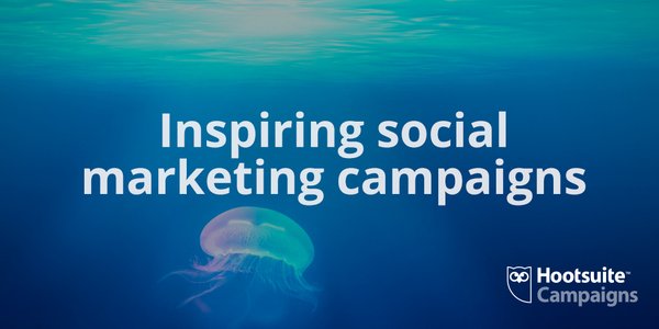 matthswitzer's tweet photo. We're excited to launch Hootsuite Campaigns, for everyone! Easy, beautiful social campaigns: https://t.co/pRSuxAX2VO https://t.co/ggrsYKOxiN