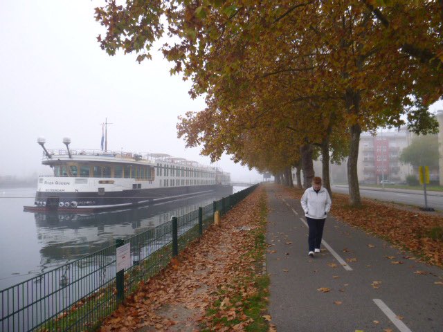 Webill4uSandra's tweet photo. Webill4usandra#uniworld#leaves changing#rivership Queen https://t.co/ILs9OAn72e