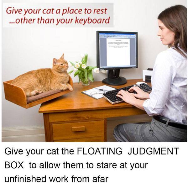staeven_frey's tweet photo. NOW, WITH MORE JUDGEMENT
and more space–the floating cat inbox. https://t.co/3lnDxSHZAh