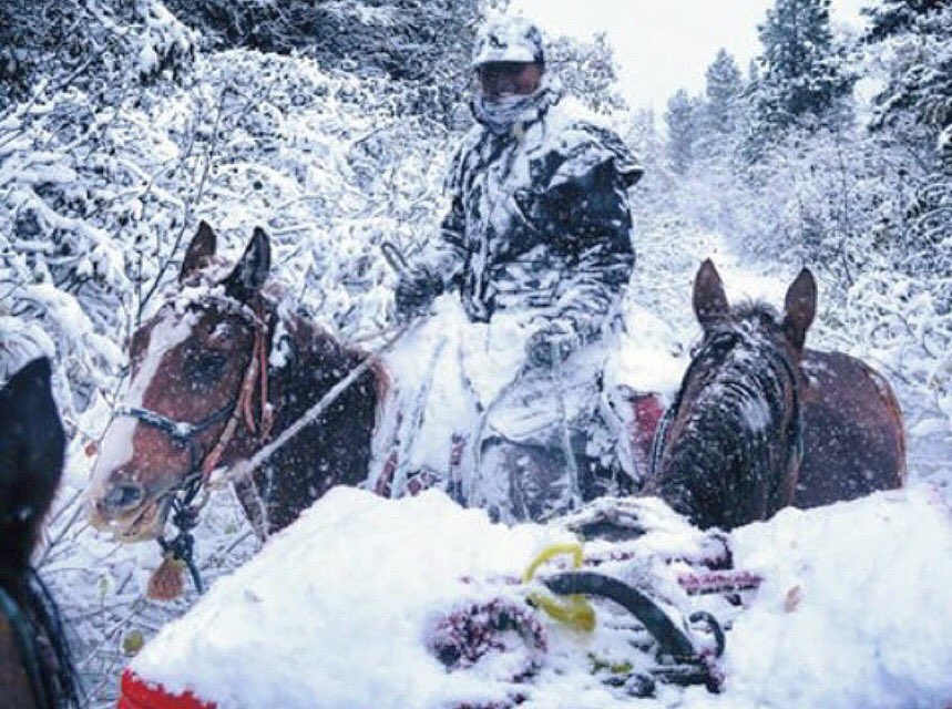 RachelAhtila's tweet photo. It's getting to be that time of year! #winteriscoming #hunting #IWWIW #deepforsheep https://t.co/4MjpxK2xae